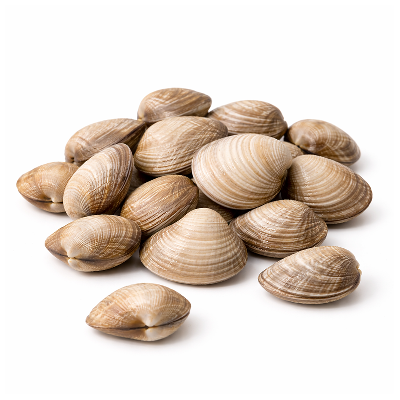 Almeja Chione Viva, 500g