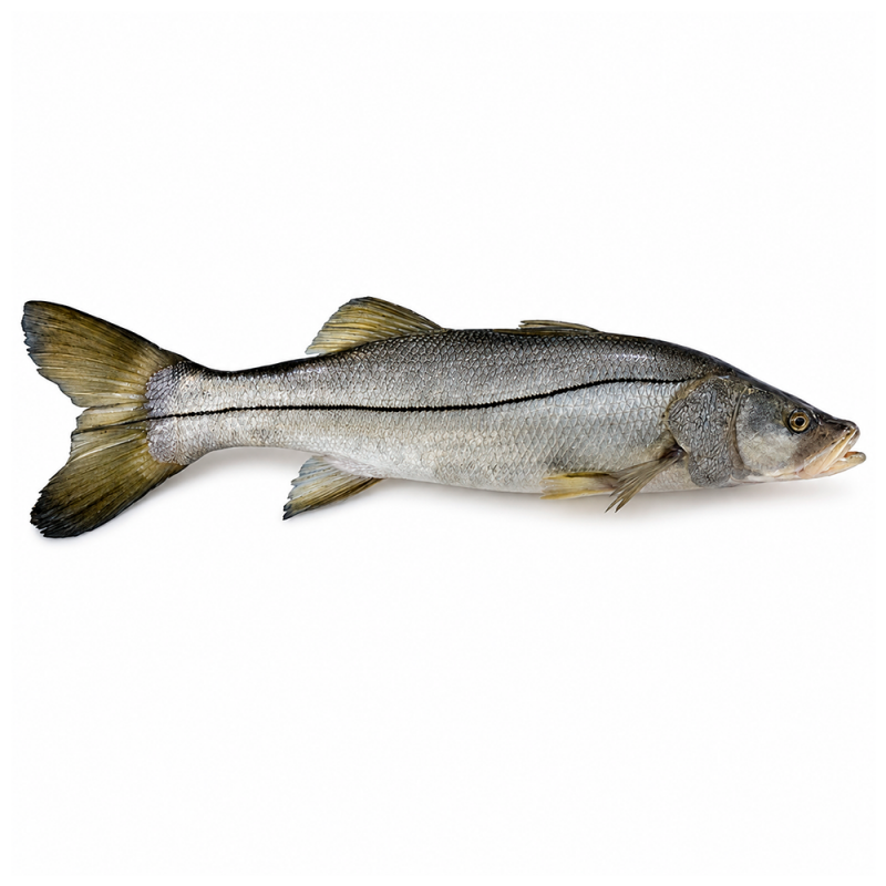 Robalo Fresco Entero, 5kg