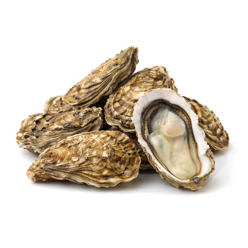 Ostión Mediano Vivo, 6pzas