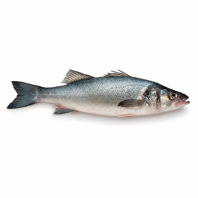 Róbalo Entero Fresco a la Talla, 3kg