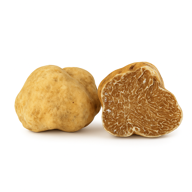 0TRUFABLANC80G Trufa Blanca de Alba Fresca, 30g