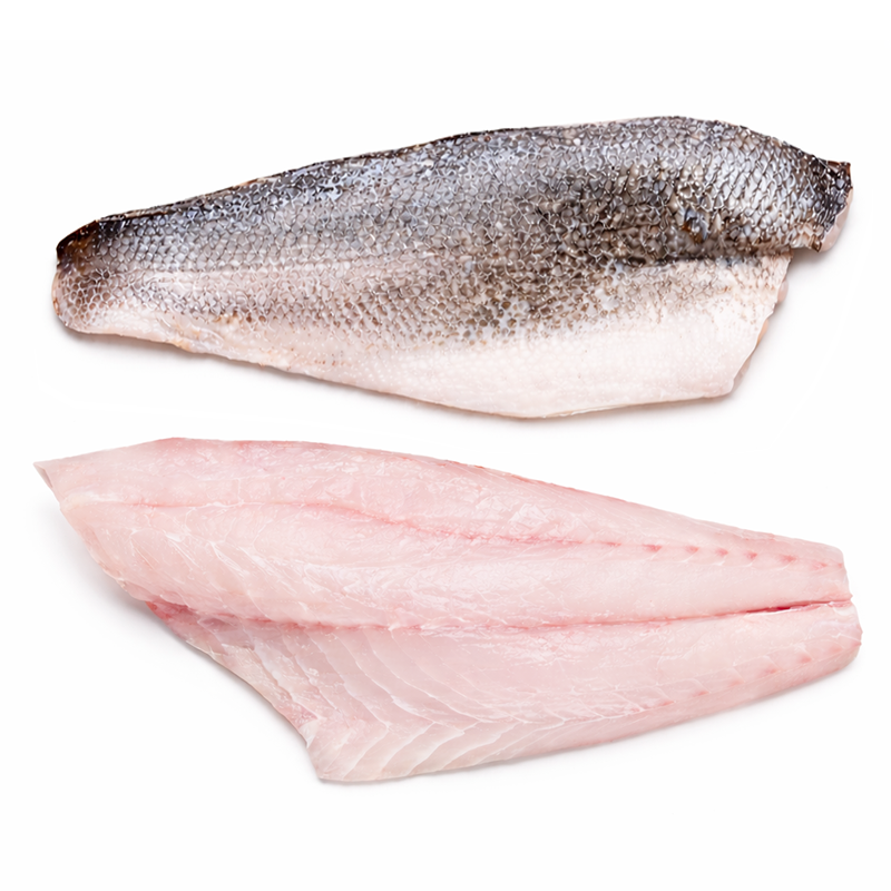 Totoaba Fresca de Cultivo en Lomos