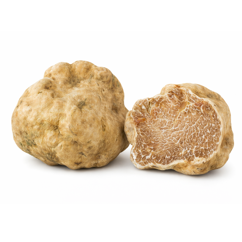 Trufa Blanca de Alba Fresca, 25g