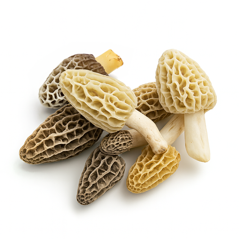Hongo Morilla Fresco, 200g