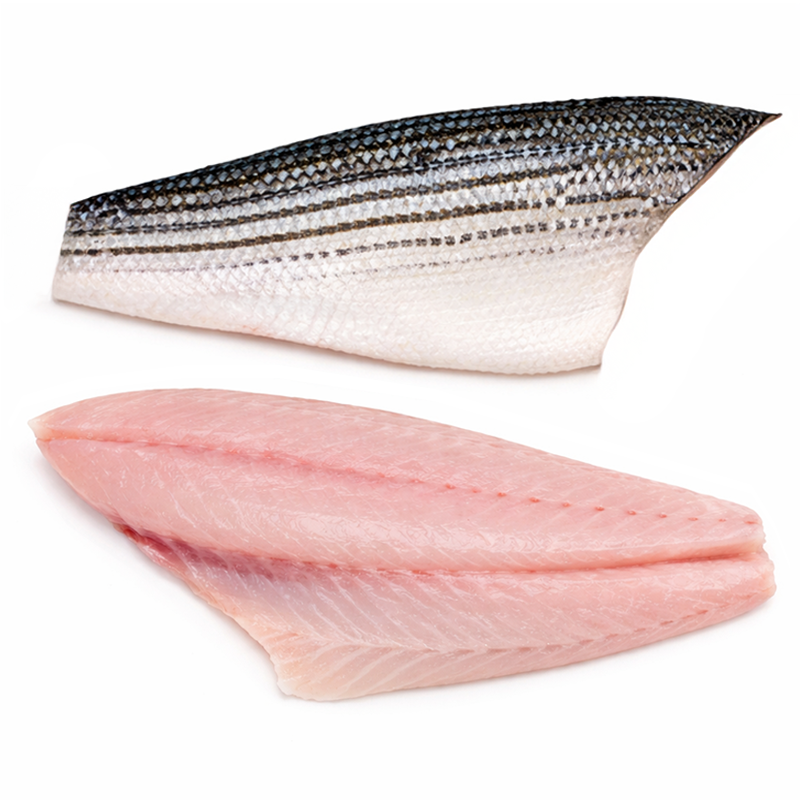 Lobina Rayada en Lomo Completo