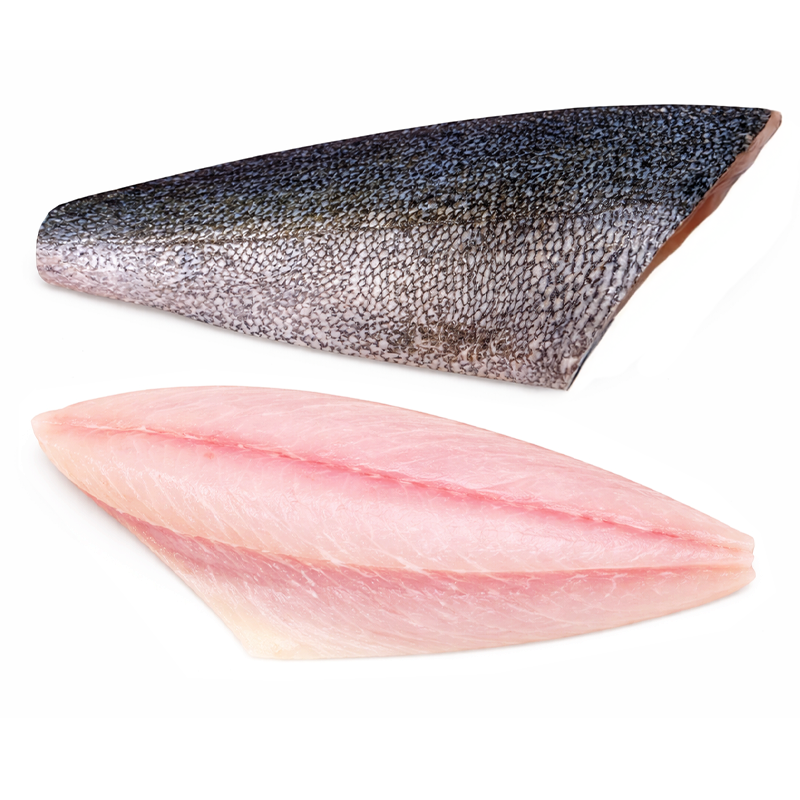 Baja Kampachi en Lomos