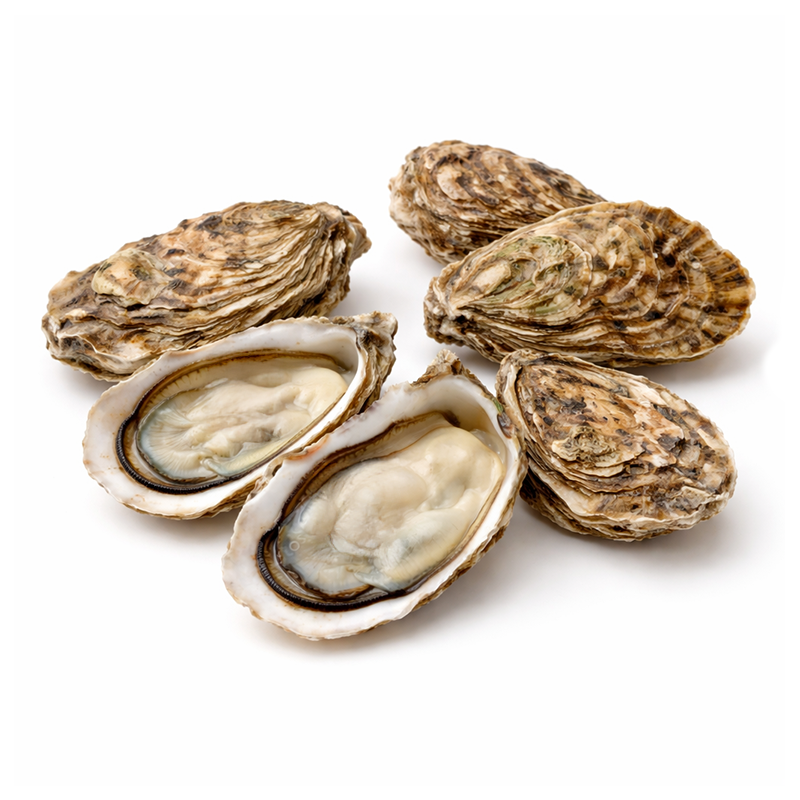 Ostión Vivo Cultivado Kumiai