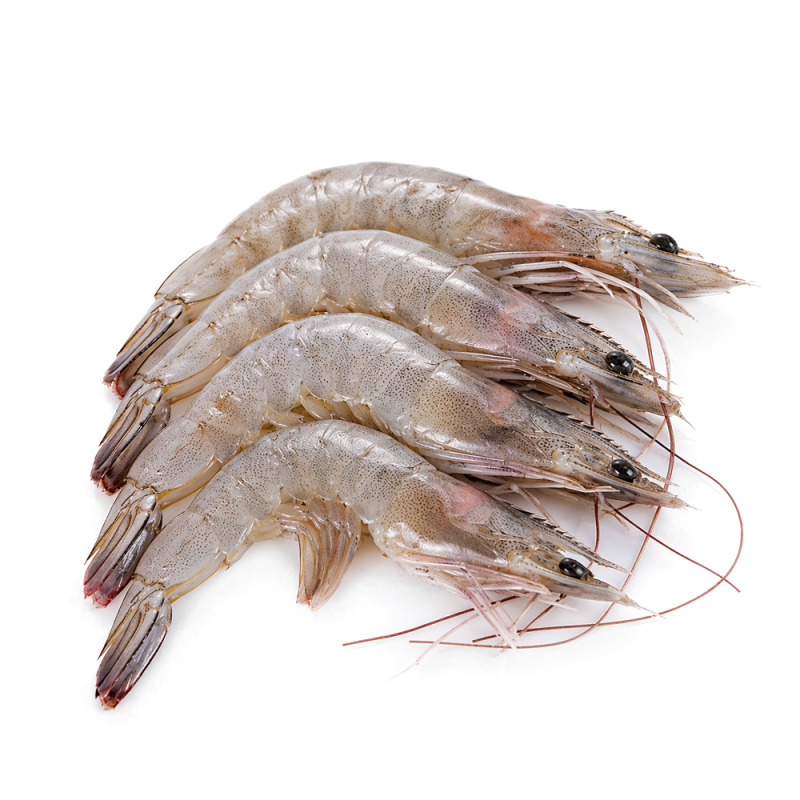 Camarón Azul Grande del Mar de Cortés, 1kg