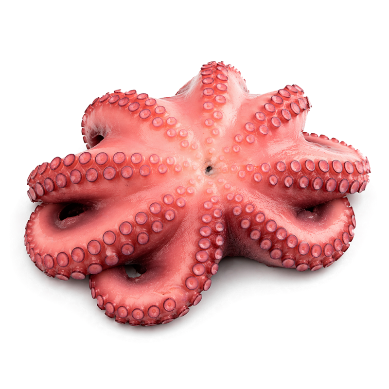 Pulpo entero cocido