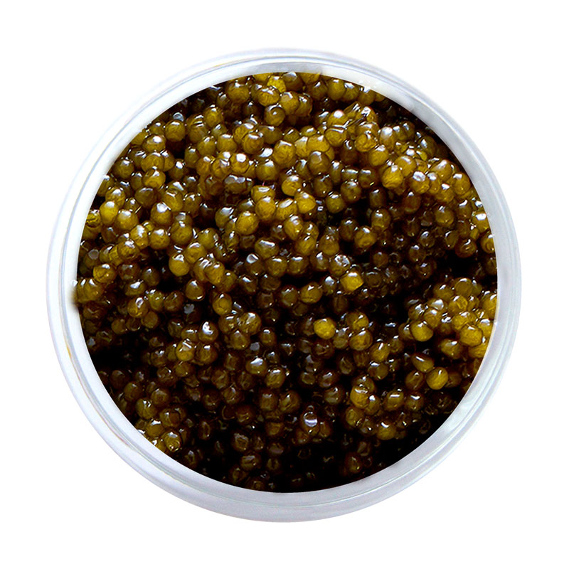Caviar Royal Shassetra, 50g