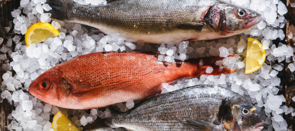 Cuáles son los tipos de pescado que existen y cuál es el mejor para » Ingredienta