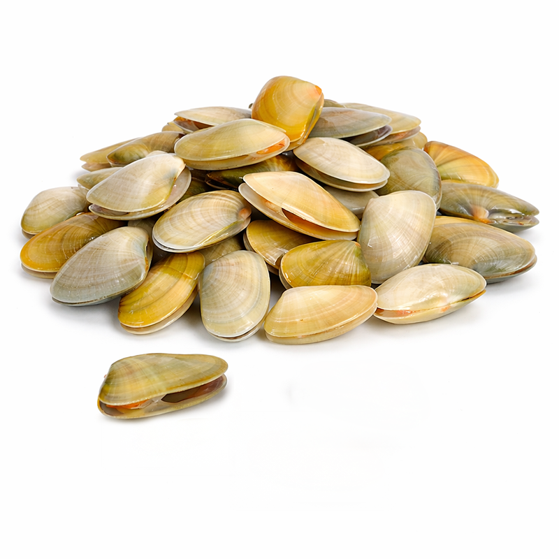 Almeja Coquina, 250g