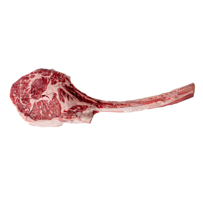 Tomahawk Prime, 1.2kg