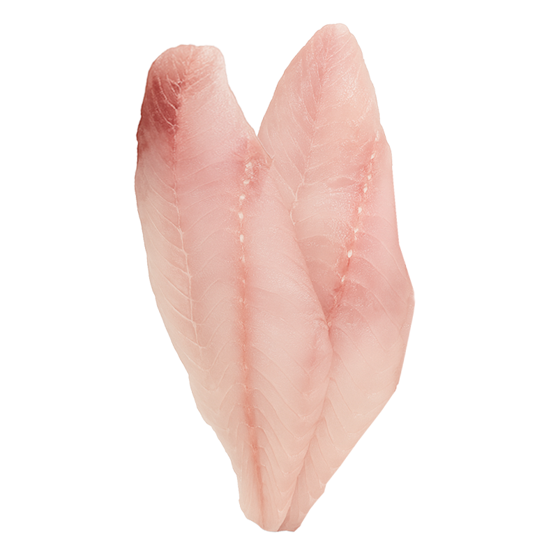 Totoaba Fresca en Filetes, 2 piezas 280g