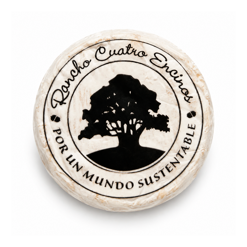 Queso Mini Camembert, 120g