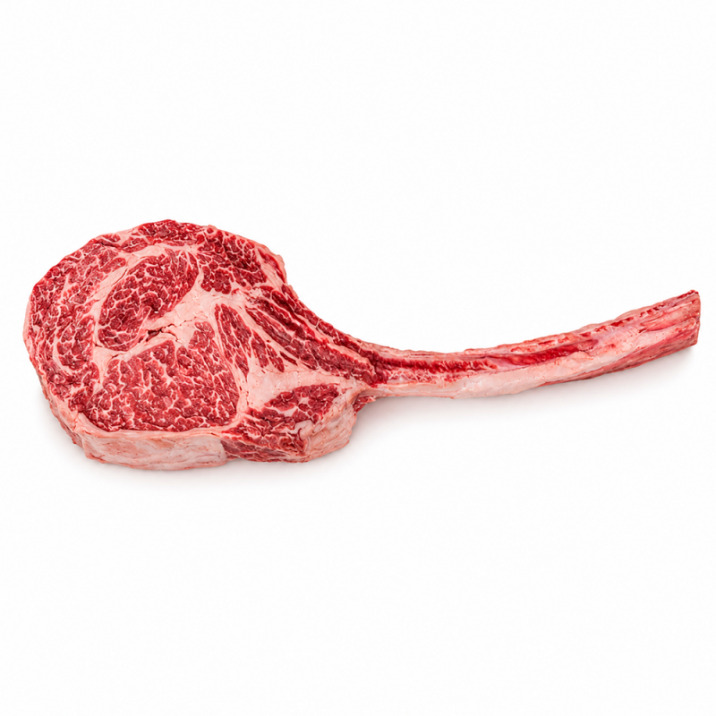 Tomahawk Prime, 1.2kg