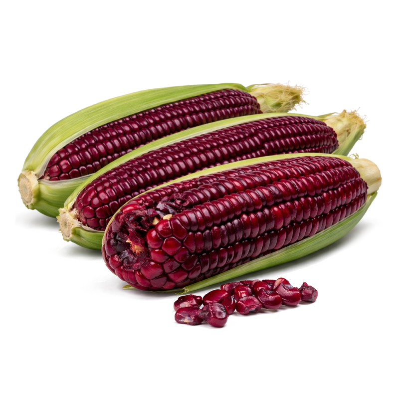 Elote Morado, 1kg