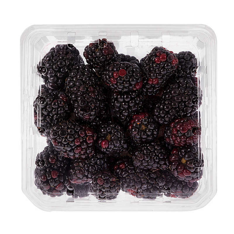 Zarzamora Orgánica, 510g