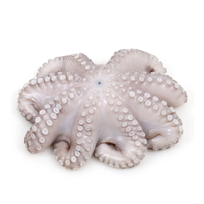 Pulpo Maya Entero 6 - 8, 3kg