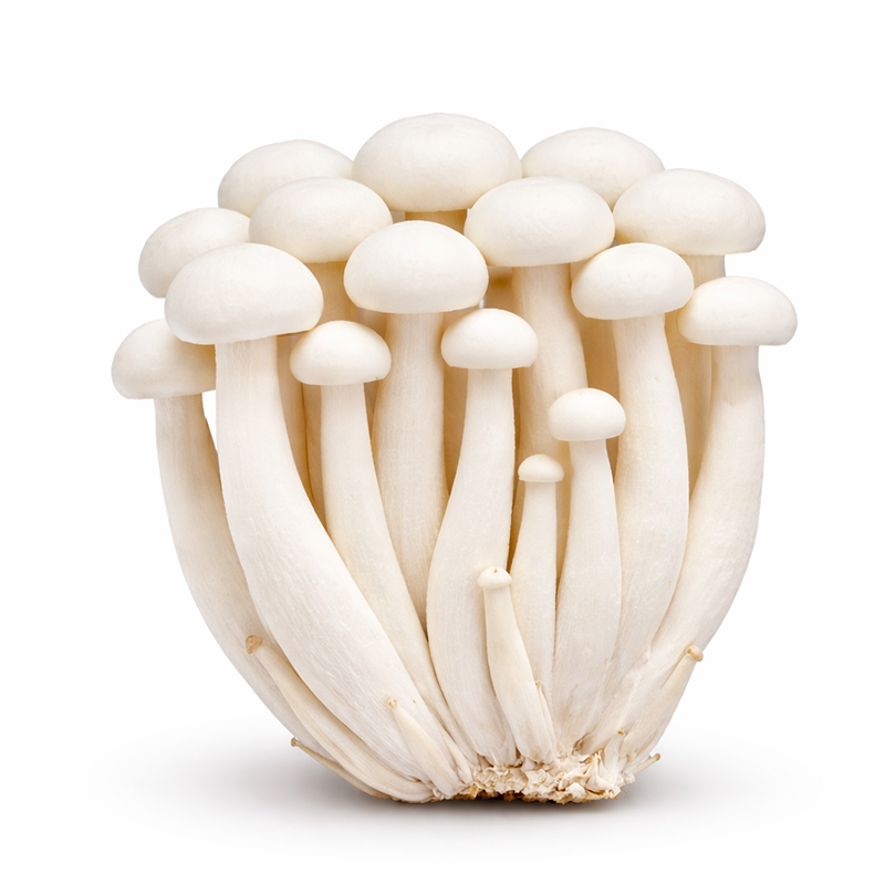 Hongo Shimeji Blanco, 150g