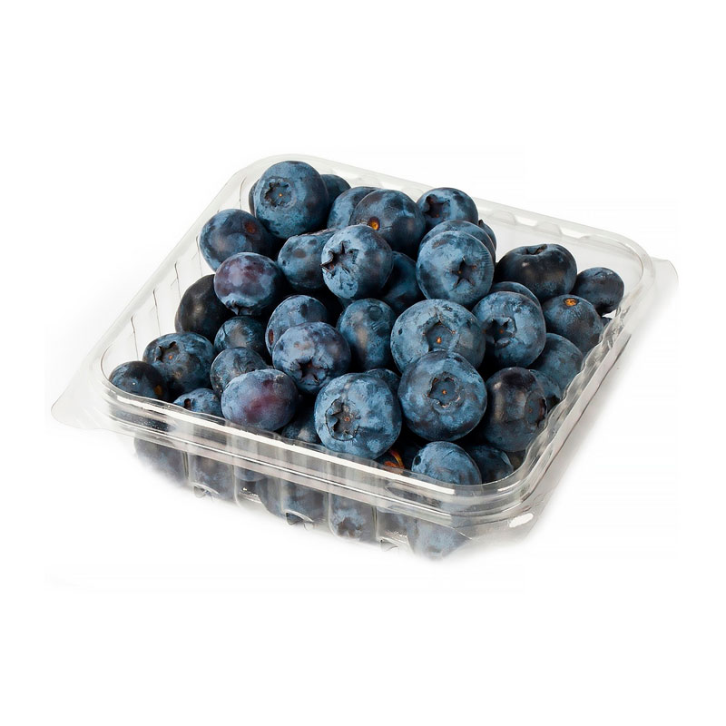 Blueberry Orgánico, 510g