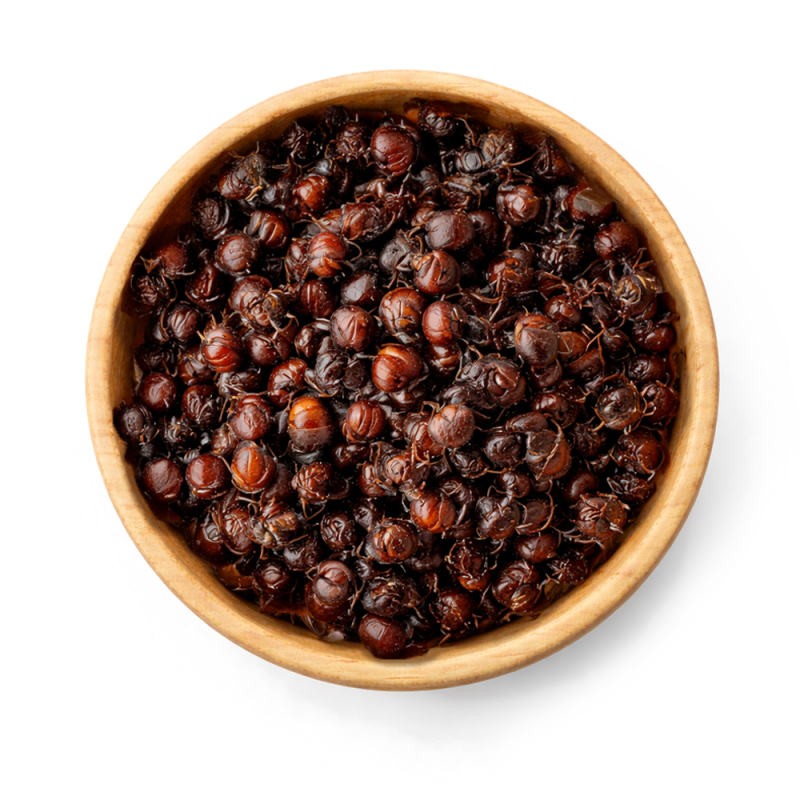 Hormiga Chicatana, 50g