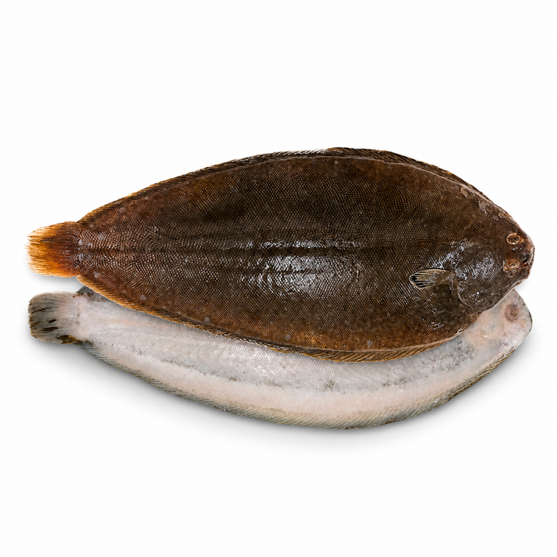 Dover Sole Entero Fresco, 500g