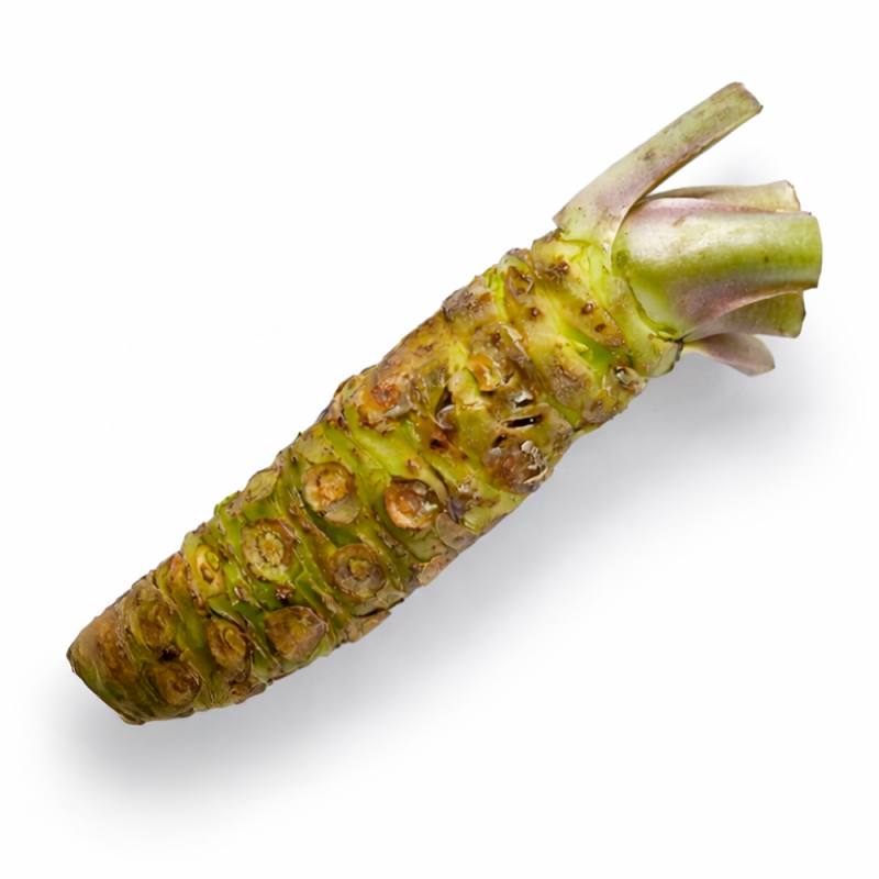Raíz de Wasabi, 150g