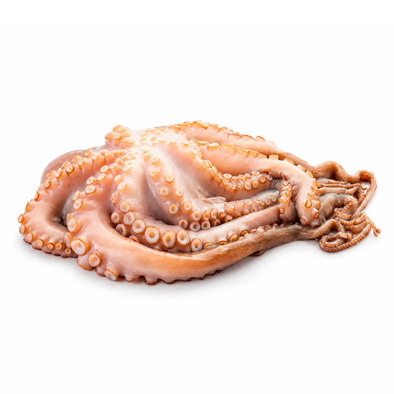 Pulpo de la Ría, 4.5kg