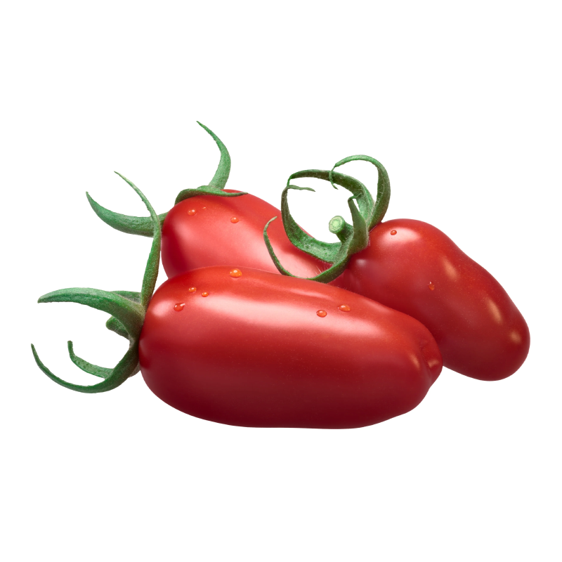 Tomate San Marzano Fresco