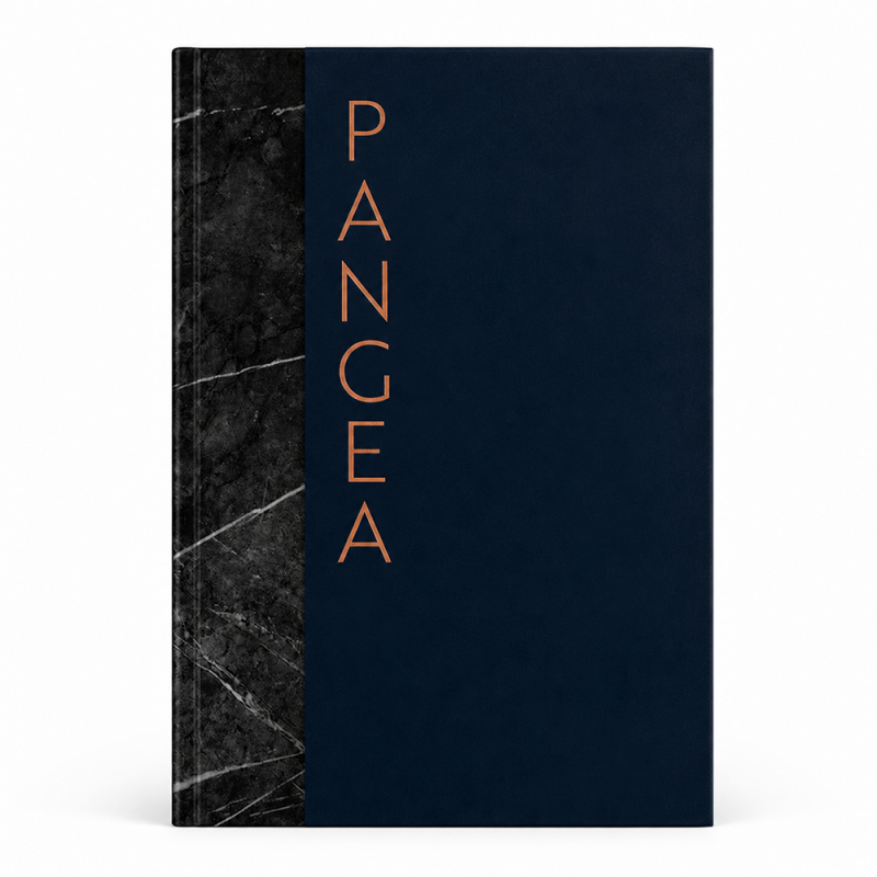 Libro Pangea