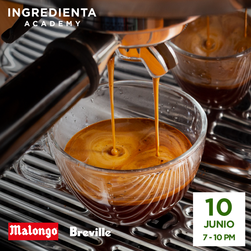 Taller de Barismo en Casa con Paulette Laurent Caire