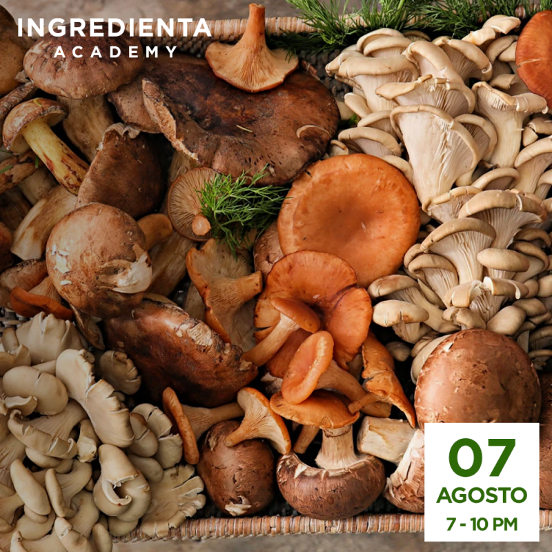 Mushroom Affair con Mau Sánchez Gracia