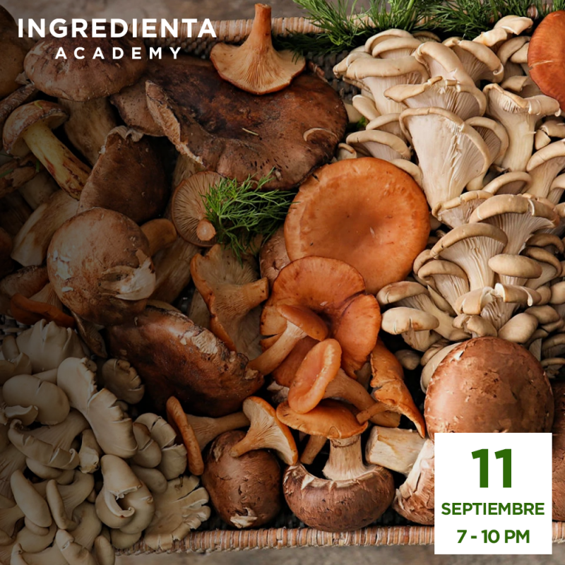 Mushroom Affair con Mau Sánchez Gracia