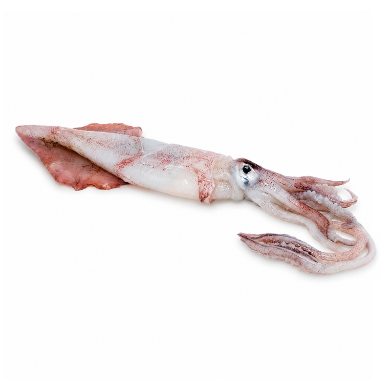 Calamar Marroquí, 800g