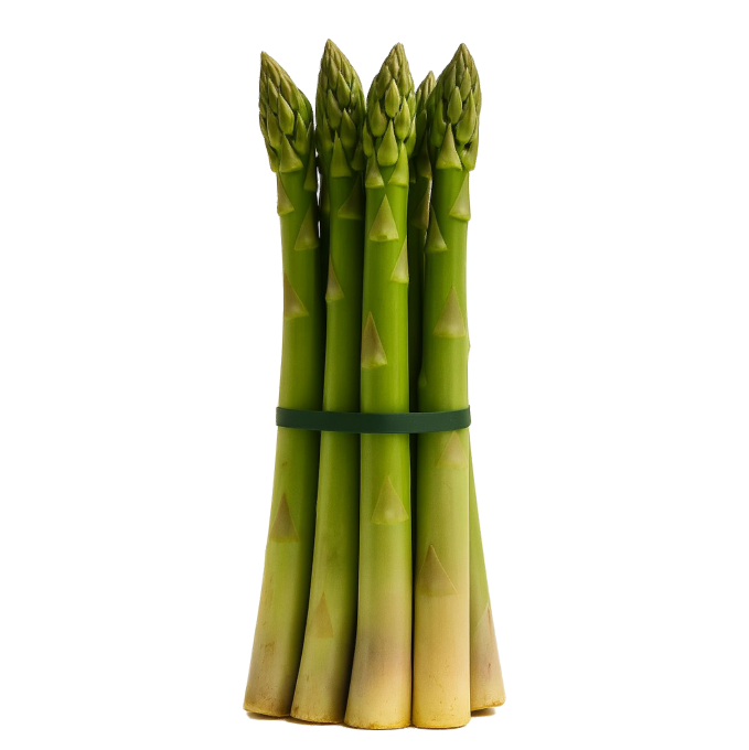 Espárrago Jumbo