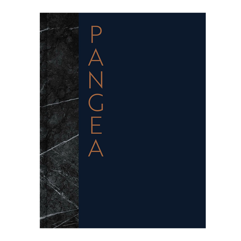 Libro Pangea