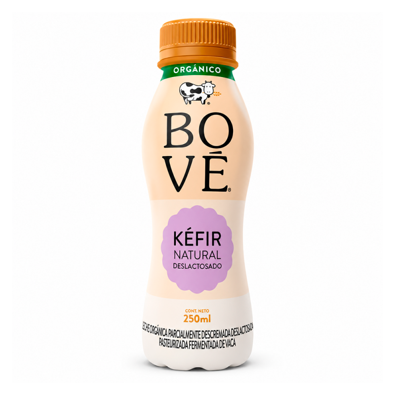 Kéfir Natural Deslactosado, 250ml