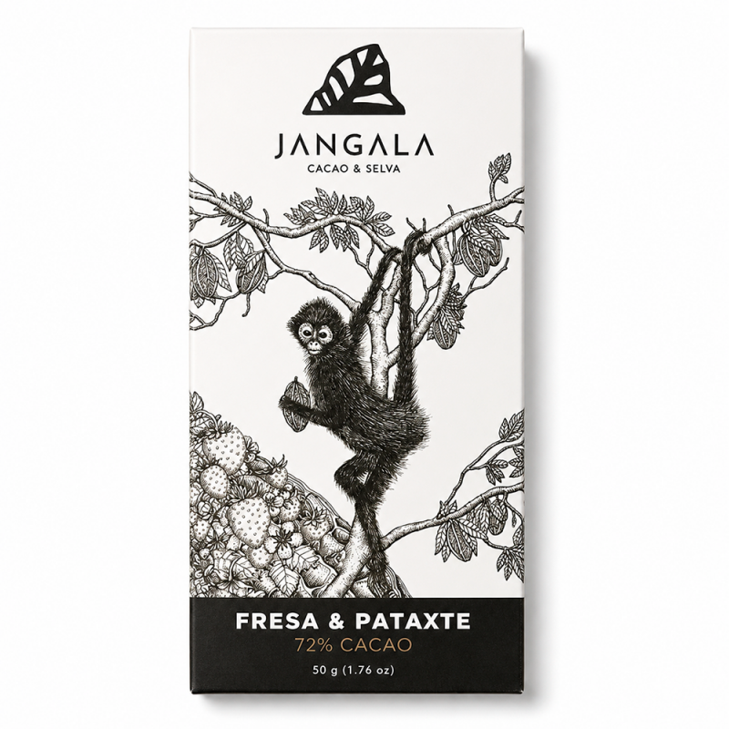 Barra de Chocolate Fresa con Pataxte  72% Cacao, 50g